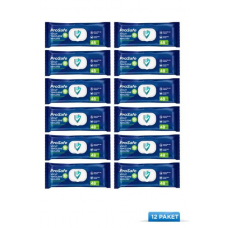 Prosafe Vücut Temizleme Havlusu 48'li x12